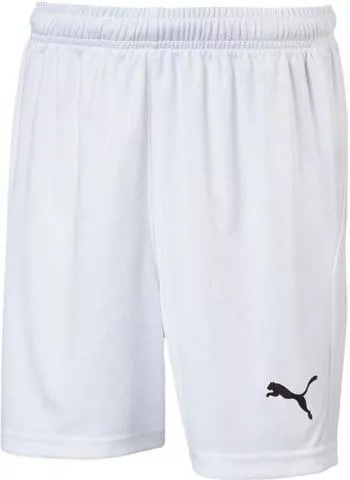 LIGA Shorts Core w Brief Jr