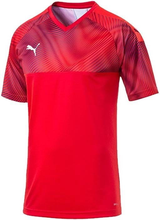 Koszulka Puma cup dunkel