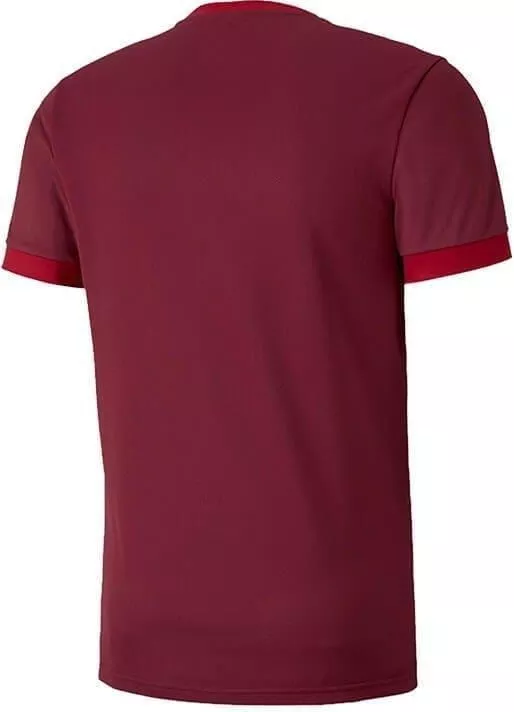 Dětský dres s krátkým rukávem Puma teamGOAL 23