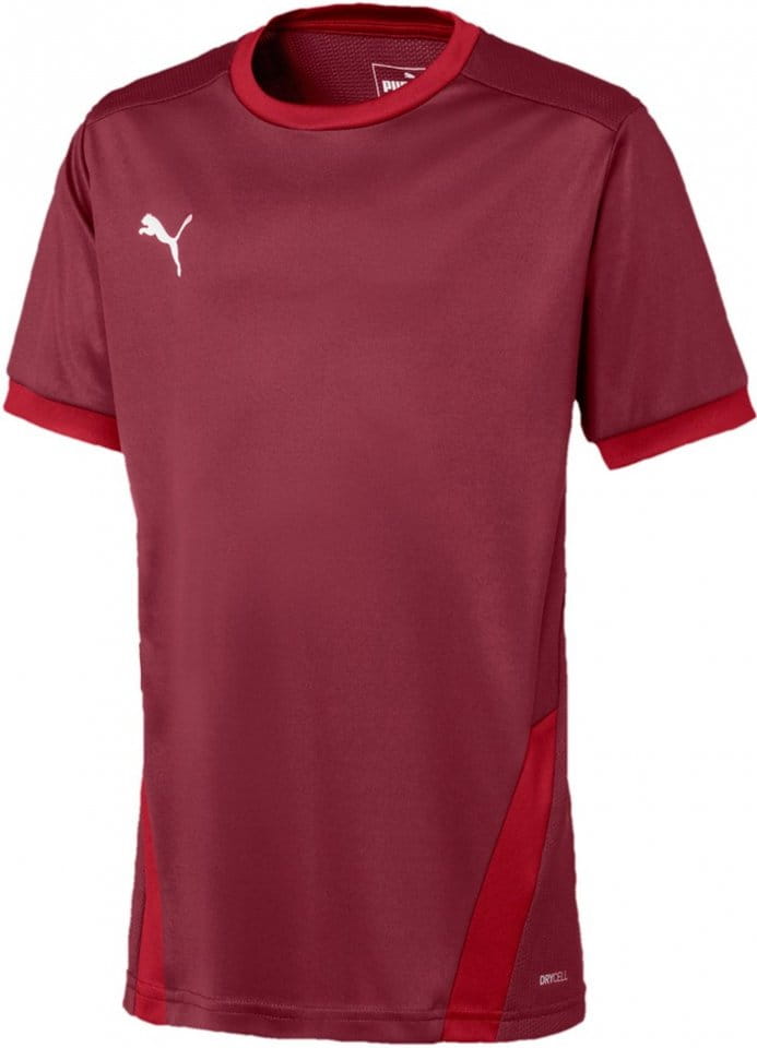 Dětský dres s krátkým rukávem Puma teamGOAL 23