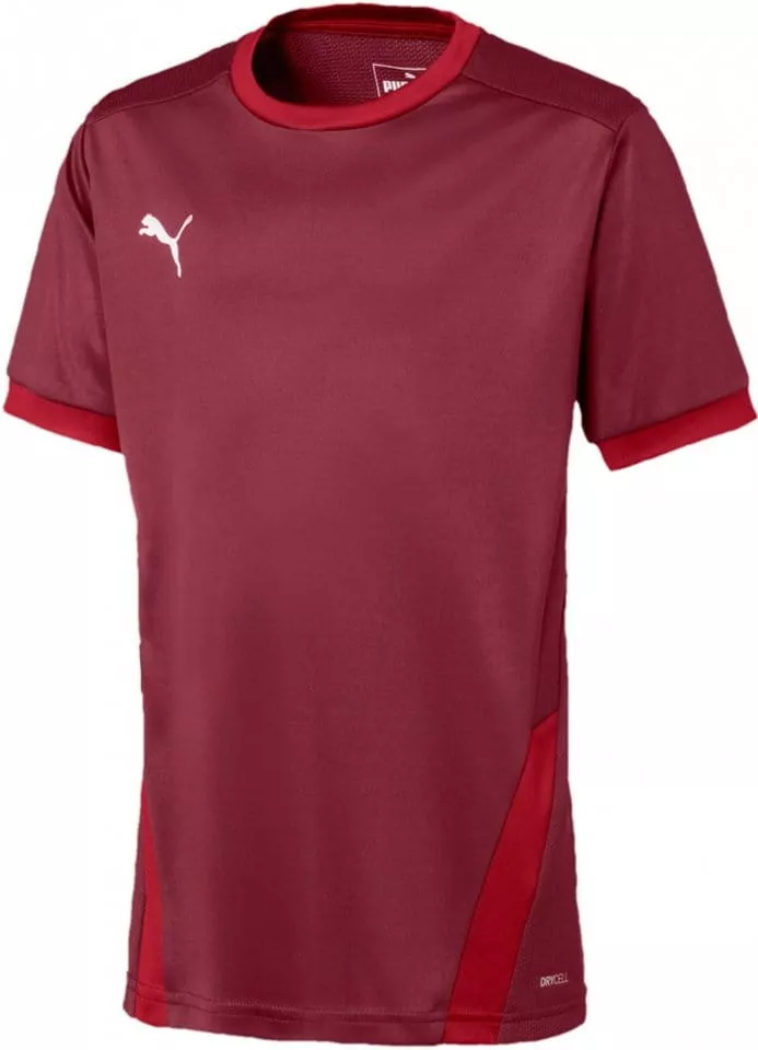 Dětský dres s krátkým rukávem Puma teamGOAL 23