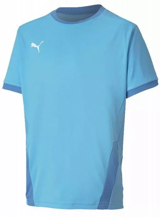 Dětský dres s krátkým rukávem Puma teamGOAL 23