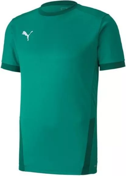 Koszulka Puma teamGOAL 23 JSY