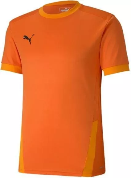 Pánský fotbalový dres s krátkým rukávem Puma teamGOAL 23