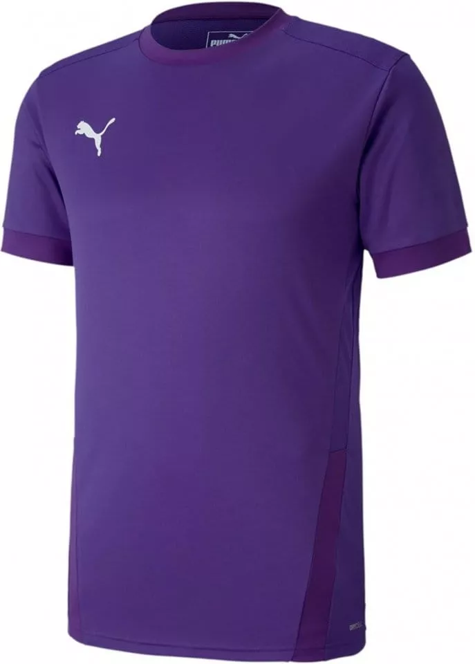 Pánský fotbalový dres s krátkým rukávem Puma teamGOAL 23