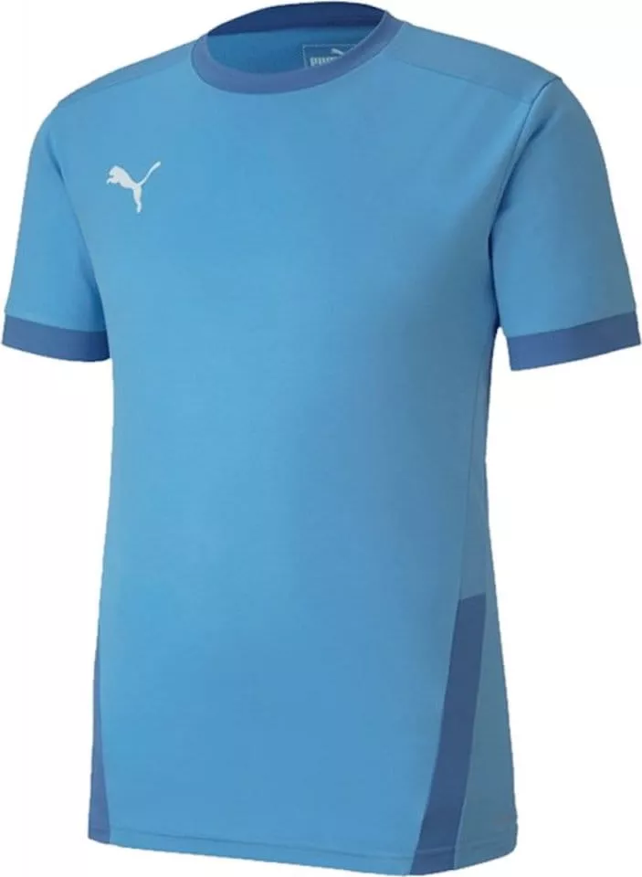 Pánský fotbalový dres s krátkým rukávem Puma teamGOAL 23