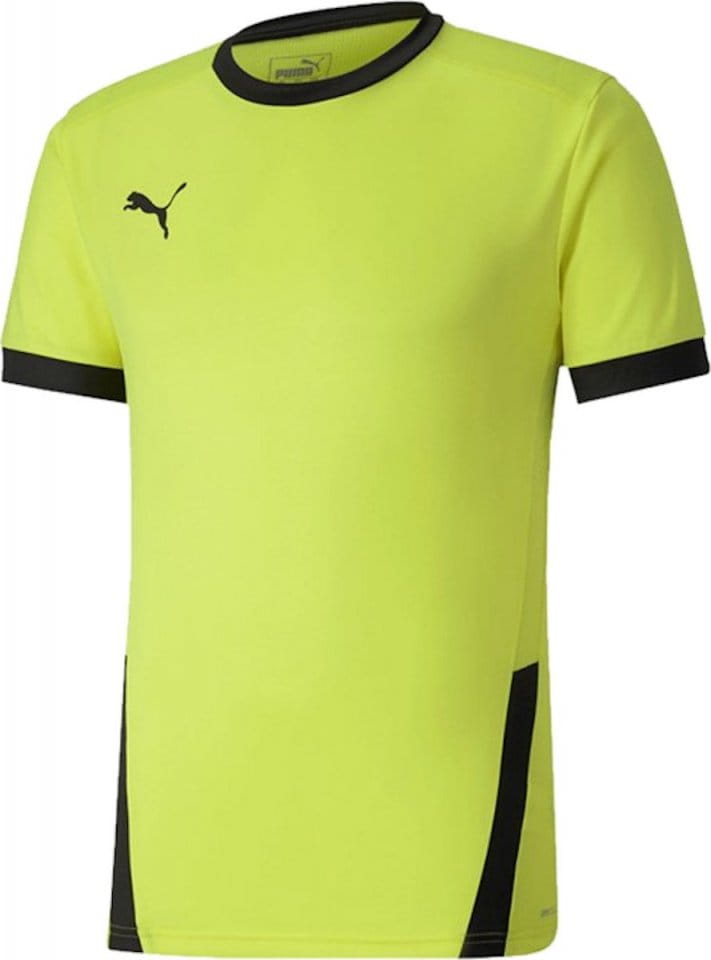 Pánský fotbalový dres s krátkým rukávem Puma teamGOAL 23