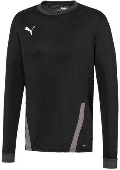 Dres z dolgimi rokavi Puma teamGOAL 23 Jersey LS
