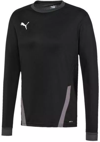 Dres z dolgimi rokavi Puma teamGOAL 23 Jersey LS