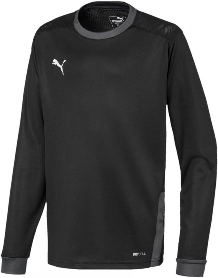 Dres (majica) s dugim rukavima Puma teamGOAL 23 Jersey LS jr