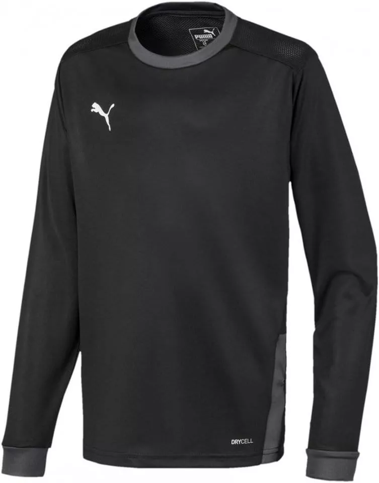 Dres (majica) s dugim rukavima Puma teamGOAL 23 Jersey LS jr