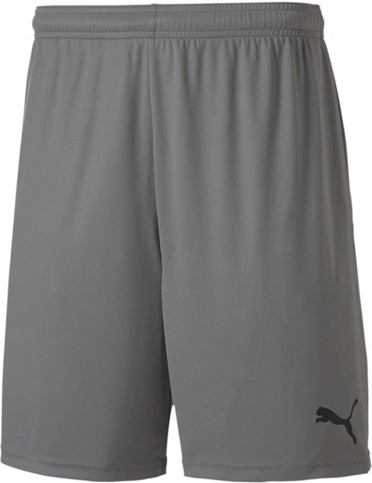 Szorty Puma teamGOAL 23 knit short