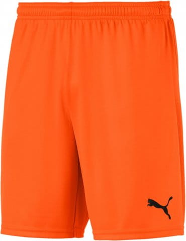 teamGOAL 23 knit Shorts