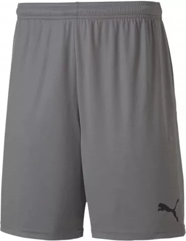 teamGOAL 23 knit short Jr