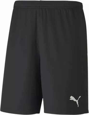 teamGOAL 23 knit Shorts jr