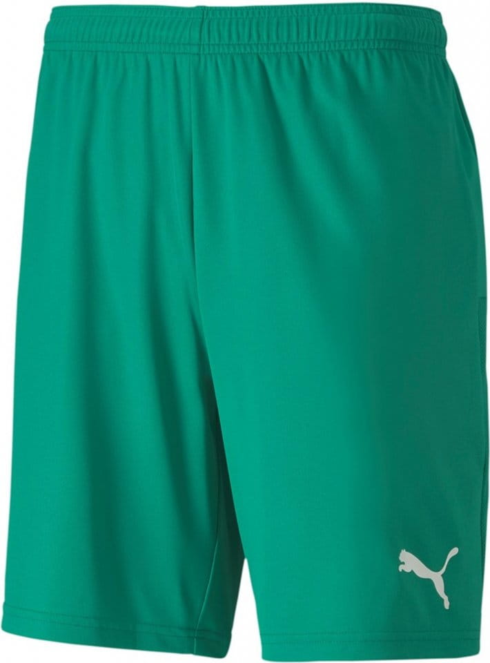 Sorturi Puma teamGOAL 23 knit Shorts jr