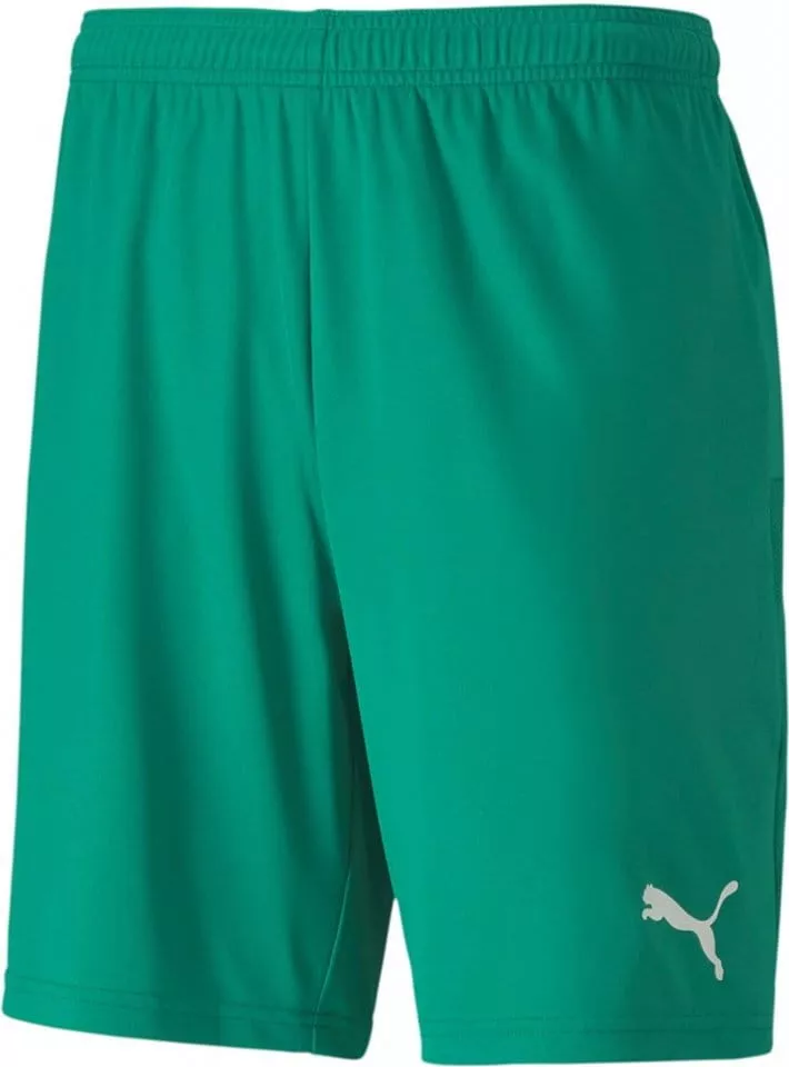 Sorturi Puma teamGOAL 23 knit Shorts jr