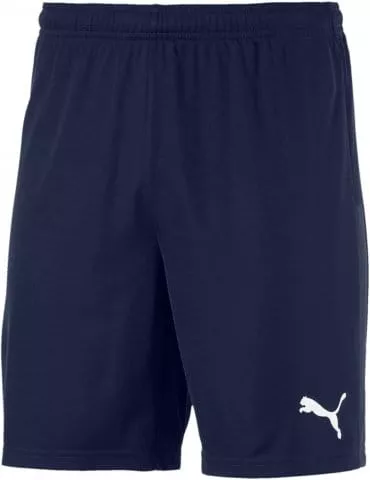 teamFINAL 21 knit Shorts jr