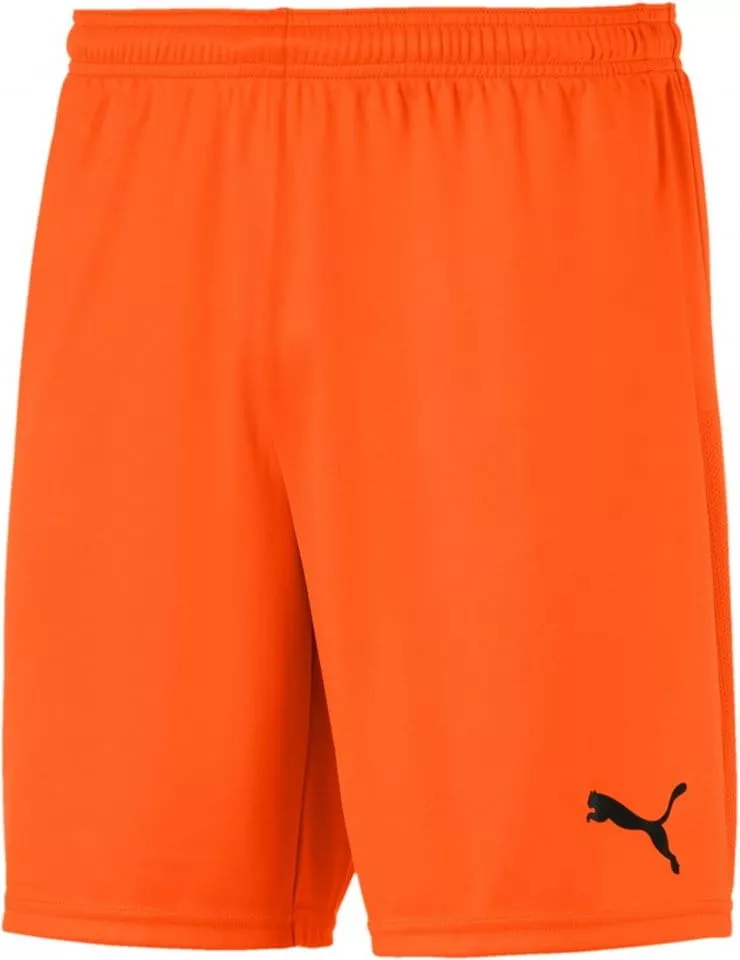 Puma teamGOAL 23 knit Shorts jr Rövidnadrág