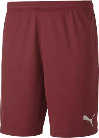 teamGOAL 23 knit Shorts jr