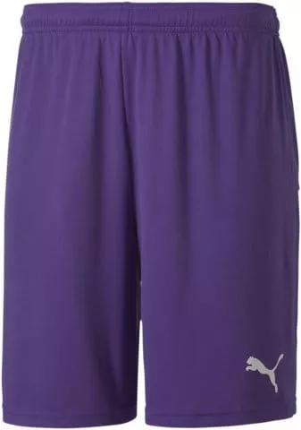 teamGOAL 23 knit Shorts jr