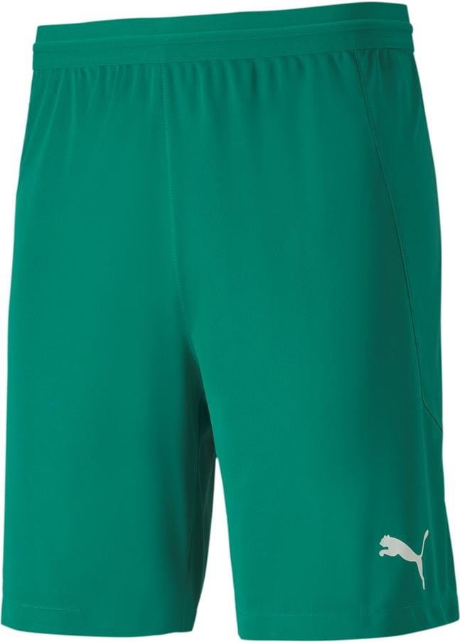 Šortky Puma teamFINAL 21 knit Shorts Jr