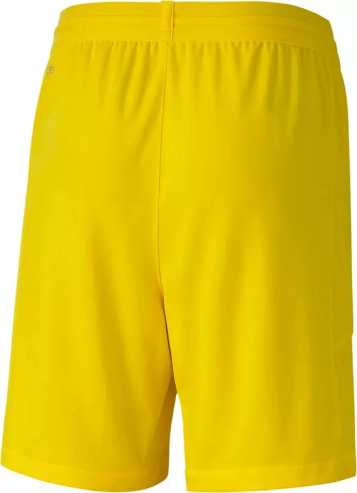 Szorty Puma teamFINAL 21 knit Shorts Jr