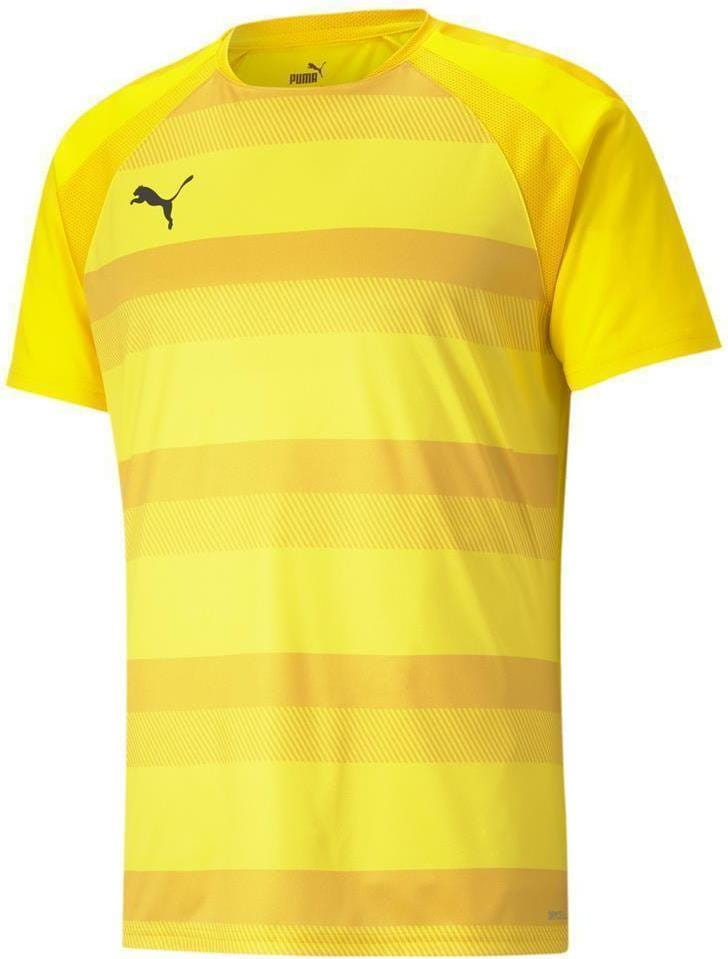 Pánský dres s krátkým rukávem Puma teamVISION