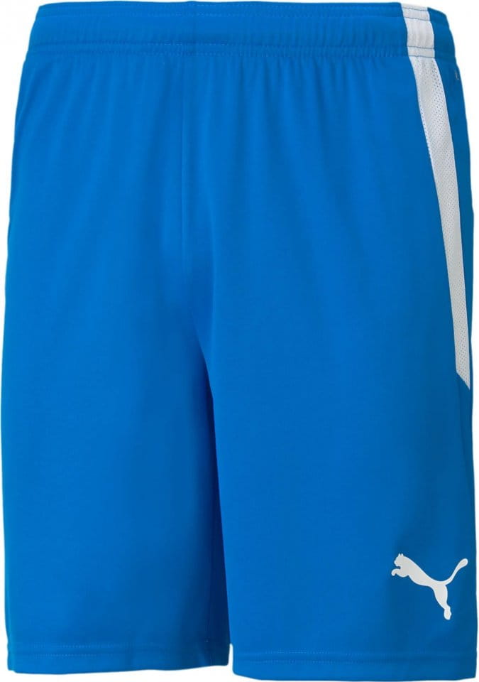 Puma teamLIGA Shorts Rövidnadrág