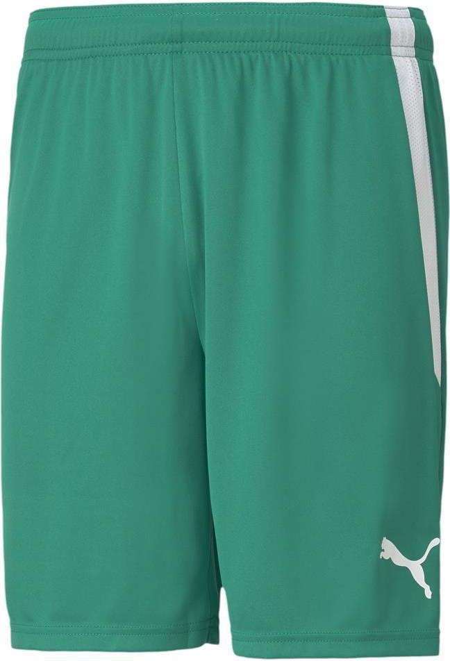 Puma teamLIGA Shorts Rövidnadrág