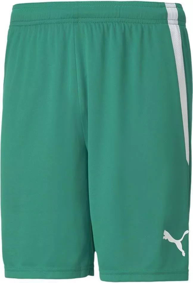 Puma teamLIGA Shorts Rövidnadrág