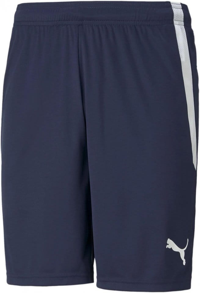 Puma teamLIGA Shorts Rövidnadrág