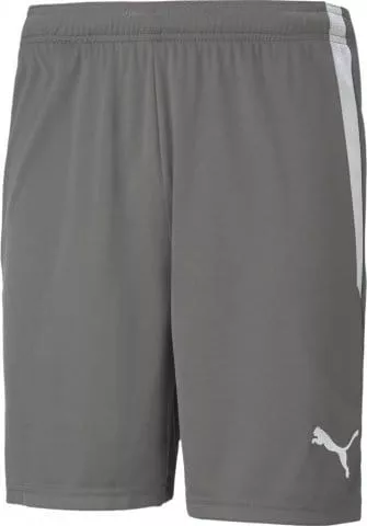 teamLIGA Shorts