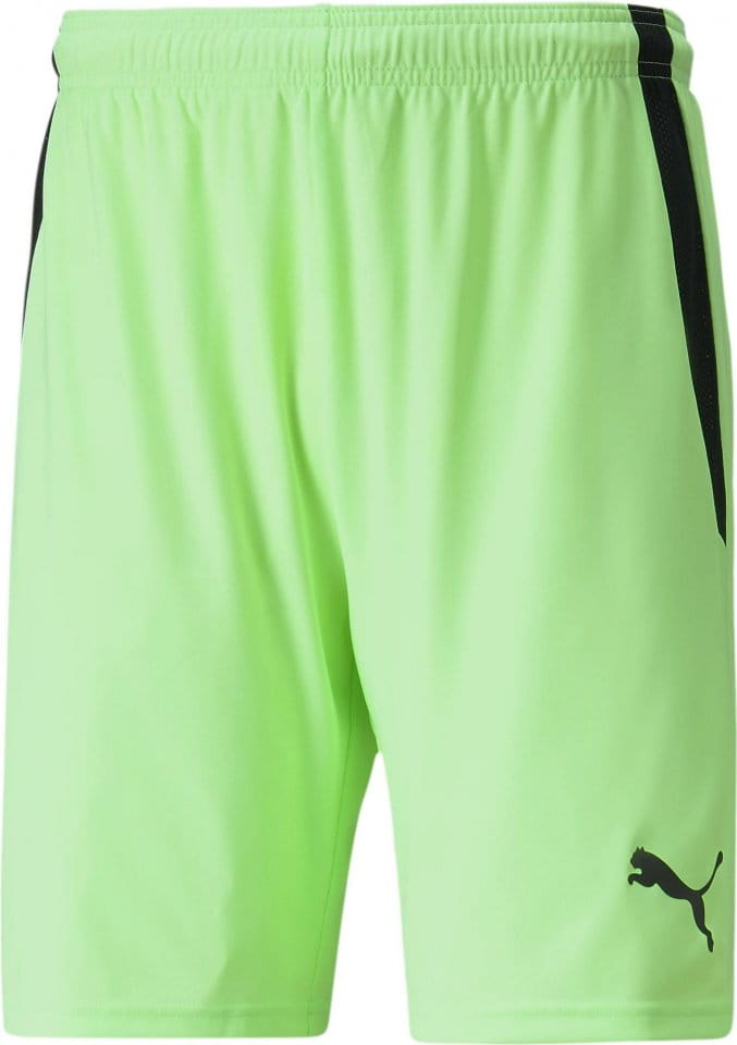 Puma teamLIGA Shorts