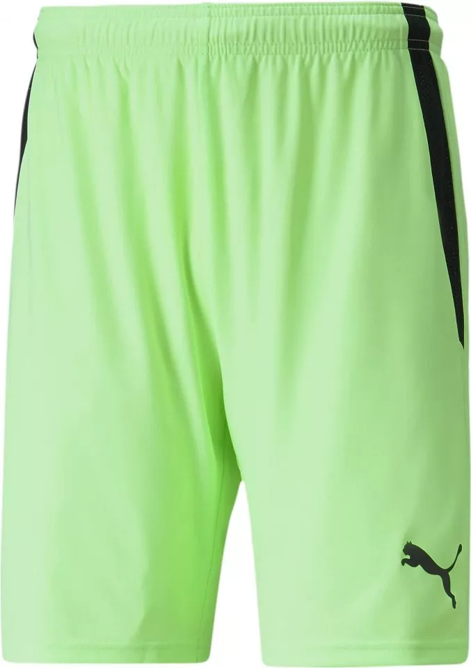 Puma teamLIGA Shorts