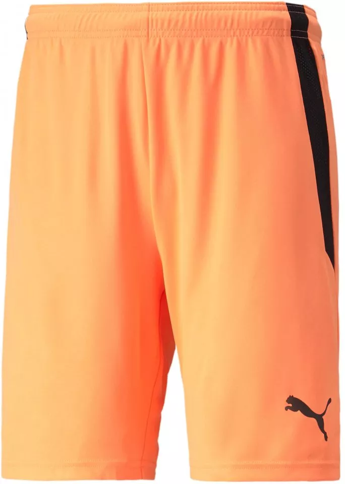 Σορτς Puma teamLIGA Shorts