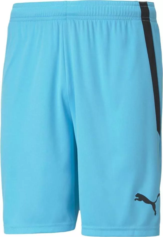 Šortky Puma teamLIGA Shorts