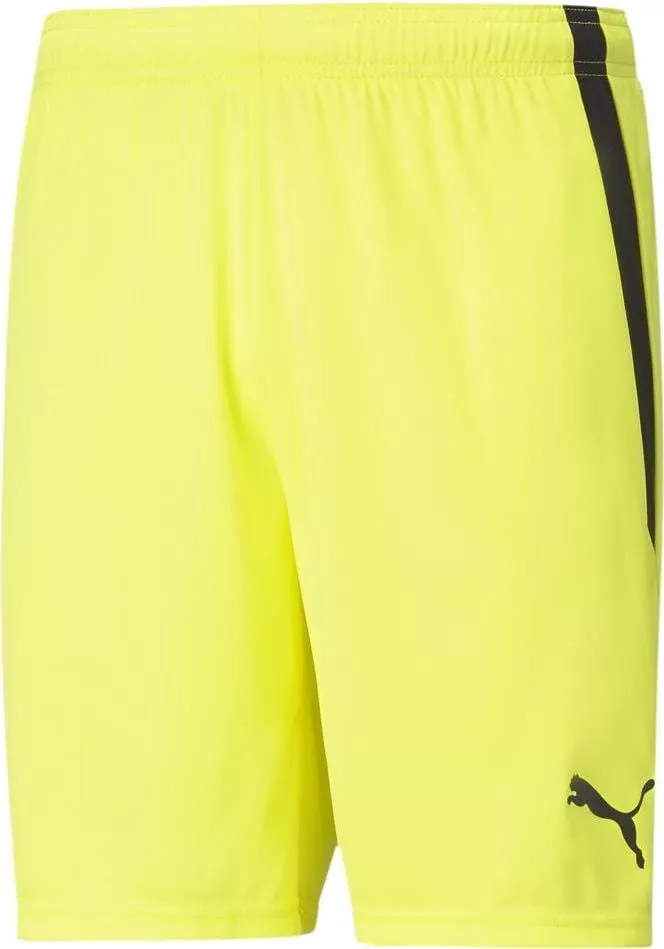 Šortky Puma teamLIGA Shorts