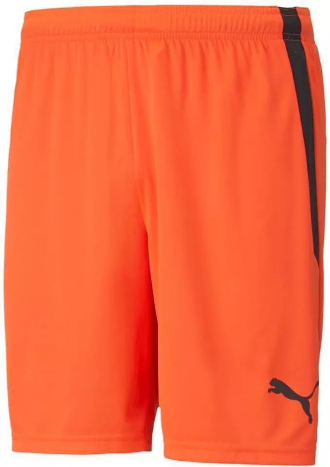 Šortky Puma teamLIGA Shorts