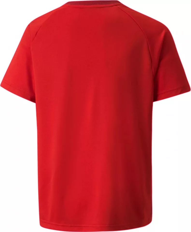 Camisa Puma teamVISION Jersey Jr