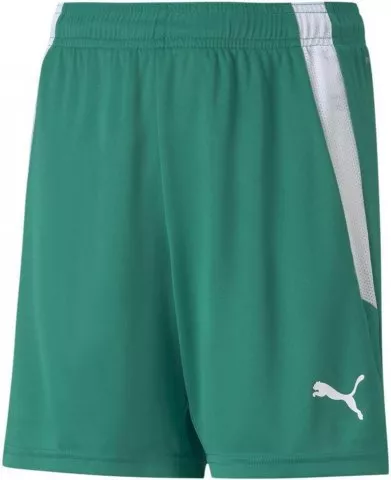 teamLIGA Shorts Jr