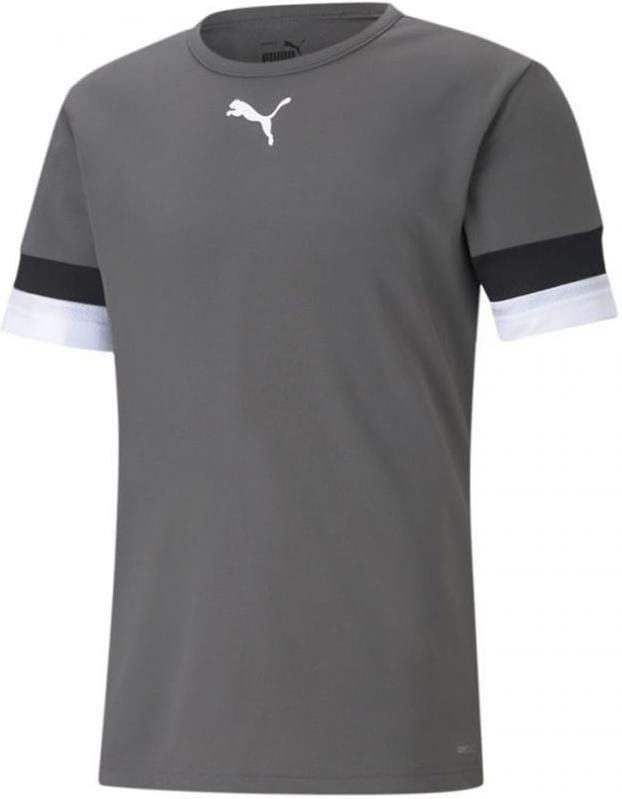Pánský dres s krátkým rukávem Puma teamRISE