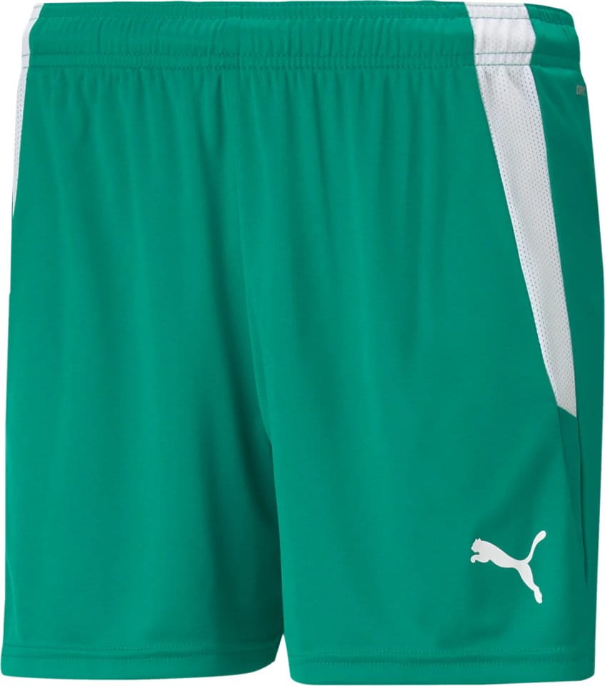 Puma teamLIGA Shorts W Rövidnadrág