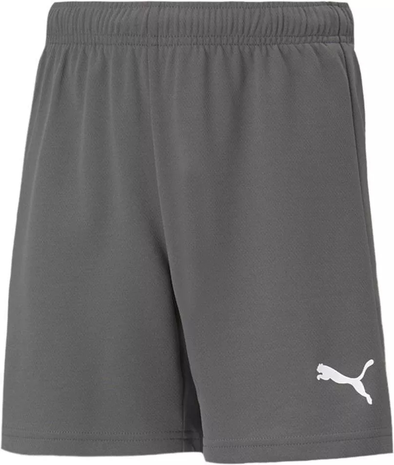 Sorturi Puma teamRISE Short Jr