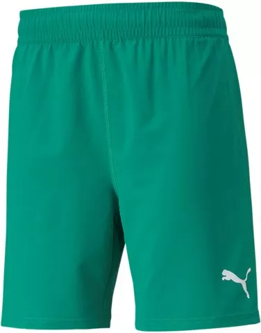 teamFINAL Shorts