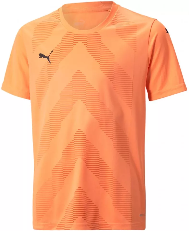 Puma teamGLORY Jersey Jr Póló
