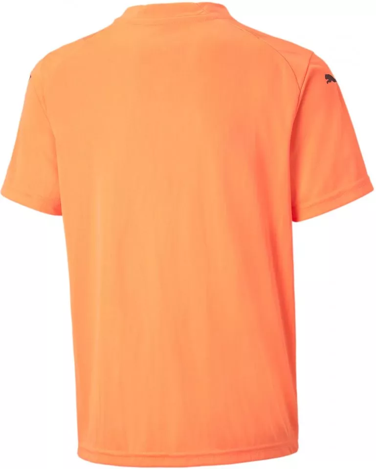 Puma teamGLORY Jersey Jr Póló