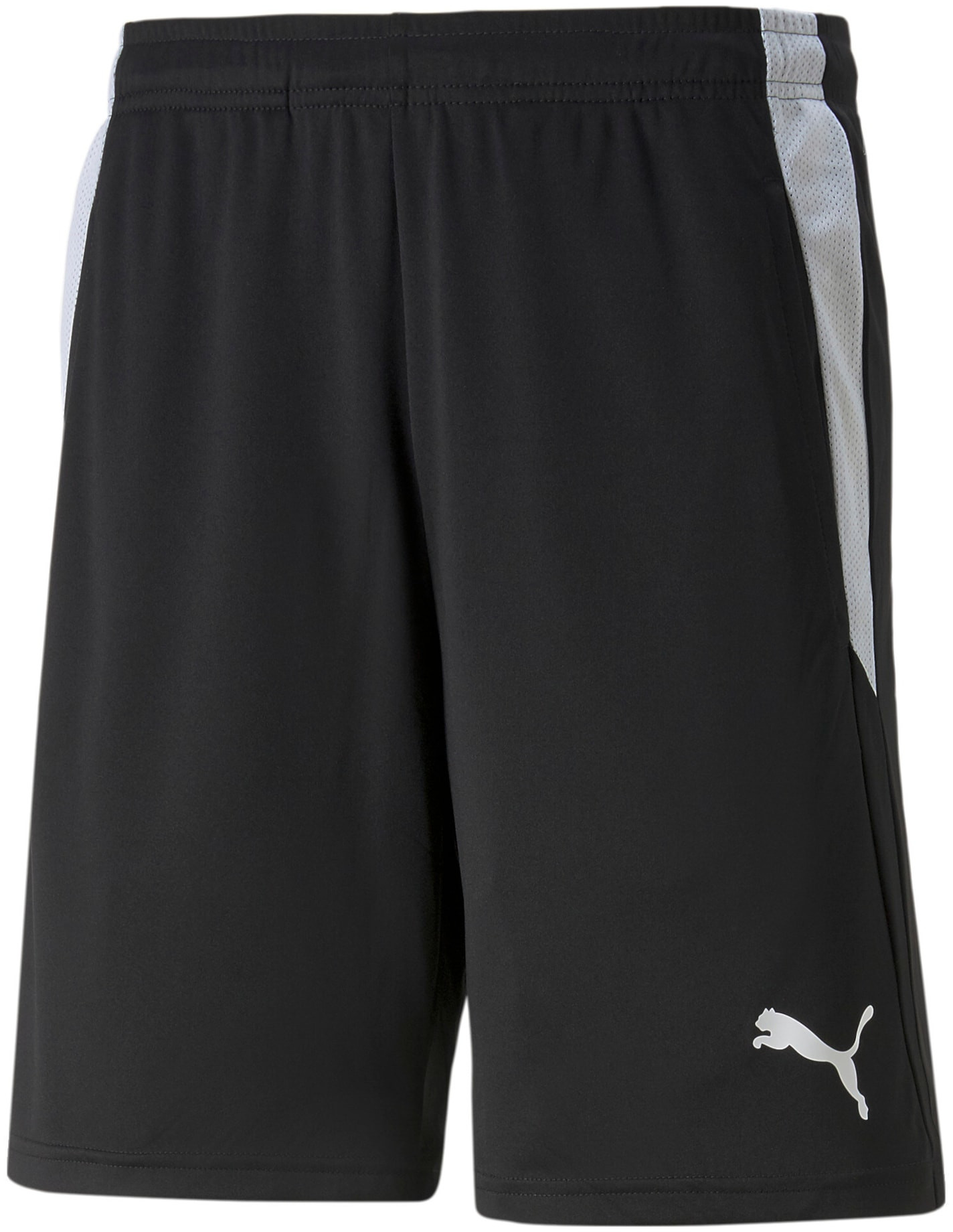 Šortky Puma teamLIGA Referee Shorts