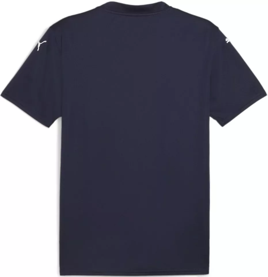 Camisa Puma teamGLORY Jersey