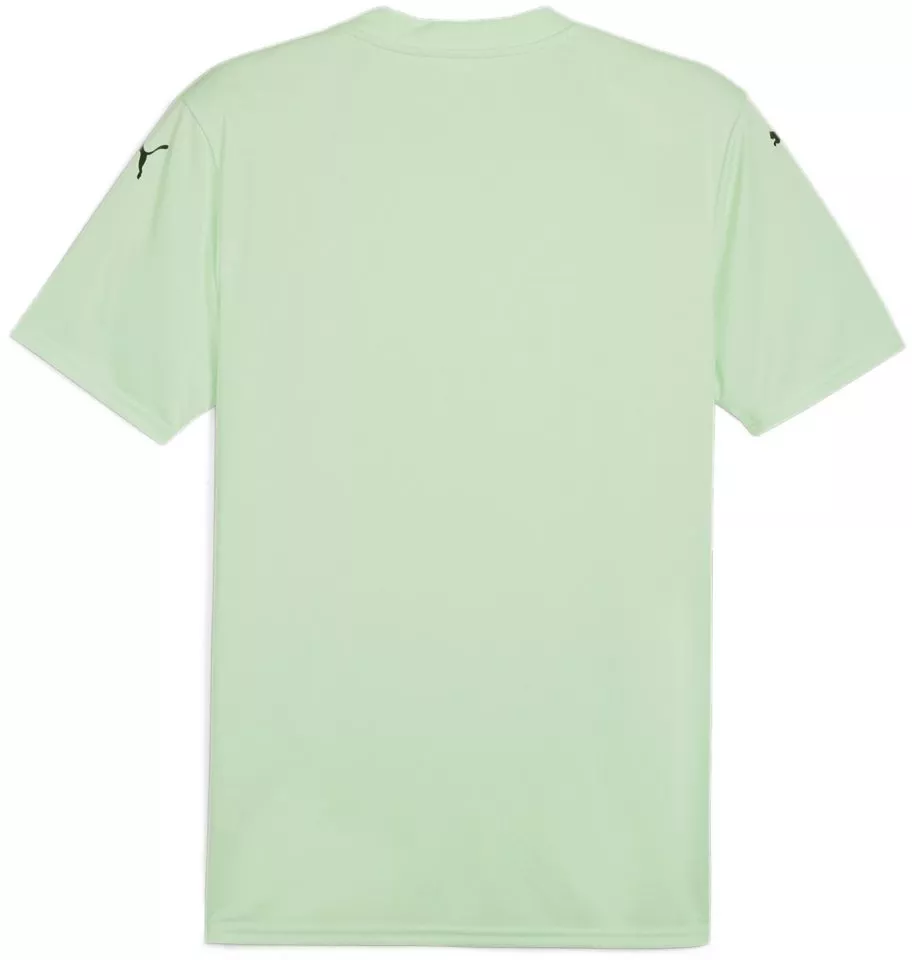 Bluza Puma teamGLORY Jersey